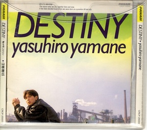 山根康広　/　DESTINY