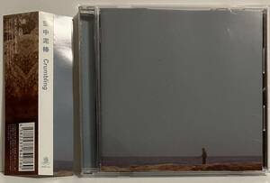 空中泥棒 (a.k.a 公衆道徳） 2nd Album『Crumbling』(CD)