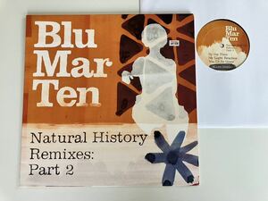 Blu Mar Ten / Natural History Remixes: Part 2 12inch EU盤 BMT004 By The Time〜(Klute remix),If I Could Tell You(Stray remix),D&B