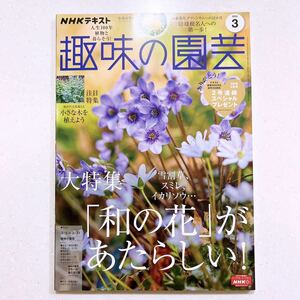 NHKテキスト趣味の園芸 2023年 03 月号 和の花があたらしい!