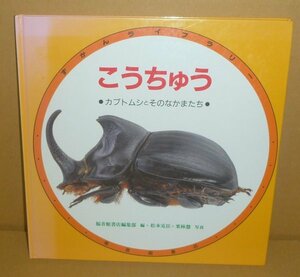 昆虫1988『こうちゅう　カブトムシとそのなかまたち／ずかんライブラリー』 松本克臣・栗林慧 写真