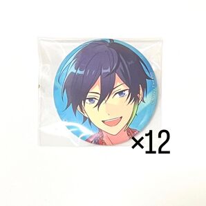 北斗 缶バッジ 12個