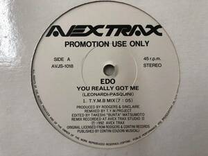 レコード プロモ EDO PROMOTION USE ONLY YOU REALLY GOT ME AVJT-1016 230801-140