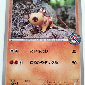 ポケモンカード ヒポポタス (759/XY―P PROMO) ポケモンセンターマーク入り プロモカード 開封品 Hippopotas/Pokemon Card Japan