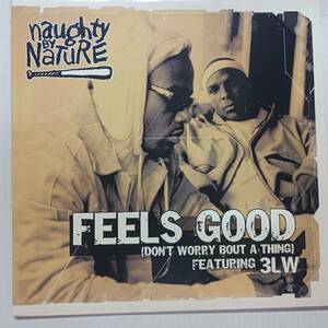 即決 NAUGHTY BY NATURE Feels Good YA 