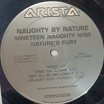 即決 NAUGHTY BY NATURE　Nineteen Naughty Nine Nature's Fury USオリジナル 2LP　 YA _画像4