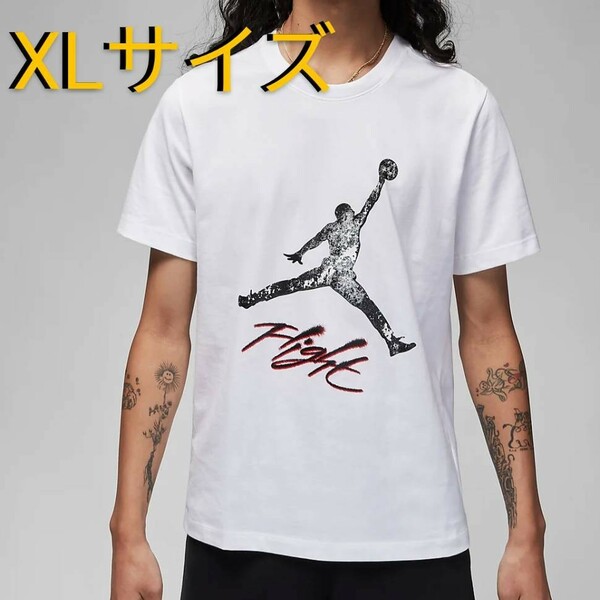 [未開封] NIKE ナイキ ジョーダン JORDAN Tシャツ ジャンプマン/Jump　man ジョーダンブランド バスケ XLサイズ