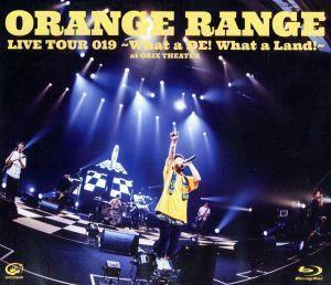 ＬＩＶＥ　ＴＯＵＲ　０１９　～Ｗｈａｔ　ａ　ＤＥ！　Ｗｈａｔ　ａ　Ｌａｎｄ！～　ａｔ　オリックス劇場（Ｂｌｕ－ｒａｙ　Ｄｉｓｃ）／