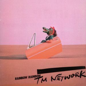 ＲＡＩＮＢＯＷ　ＲＡＩＮＢＯＷ／ＴＭ　ＮＥＴＷＯＲＫ