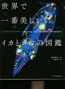  world . most beautiful squid . octopus. illustrated reference book |. temple ..,. water .