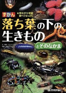 ずかん落ち葉の下の生きものとそのなかま 見ながら学習調べてなっとく／ミミズくらぶ【文・構成】，皆越ようせい【写真】