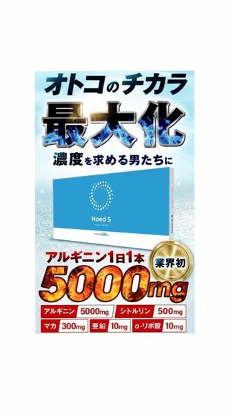 Noed5 ノードファイブ サプリ Lアルギニン 5000㎎ Lシトルリン マカ 亜鉛 αリポ酸 高濃度 筋トレ 活力 おためし