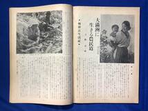 レCJ542ア●科学画報 昭和19年3月号 戦時化学工業の動向/飛行場攻撃法/戦車学校訪問記/大満洲に生きる農民道/戦前_画像8