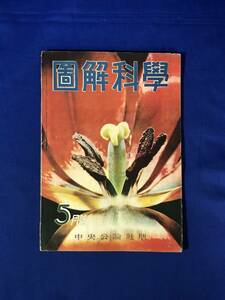 CJ509ア●図解科学 15 昭和18年5月号 中央公論社版 戦時急造船/防空壕/対談動物園を語るⅡ/戦前