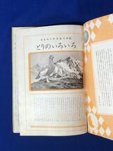 CJ1239ア●「とりのいろいろ」 保育社の学習絵文庫 14 絵:しみずまさる 昭和28年 巣箱/つばめ/渡り鳥/かるがも/めずらしい鳥_画像3