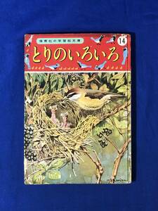 CJ1239ア●「とりのいろいろ」 保育社の学習絵文庫 14 絵:しみずまさる 昭和28年 巣箱/つばめ/渡り鳥/かるがも/めずらしい鳥