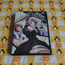 聖痕のクェイサー 女帝の肖像 アニメ DVD OVA 送料無料_画像1