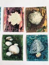 ◆中国切手◆ １９８１年　きのこ６種_画像2