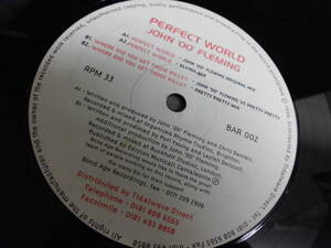 JOHN 'OO' FLEMING/PERFECT WORLD/2080