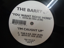 THE BARRY EP/YOU WANT SOME MORE/4769_画像2