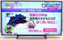 (C99) TOSHIBA REGZA 55J10X 2015年製★ 4K対応液晶TV　55型 ★ LEDバックライト/HDMI/USB/Youtobe/無線LAN_画像2