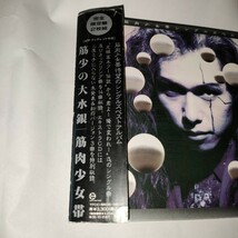 筋肉少女帯 筋少の大水銀 CD　TFCC-88035〜88036 USED　完全限定盤２枚組_画像2