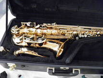 Yanagisawa A-902 Alto Saxophone ブロンズ ヤナギサワ アルト サックス_画像1