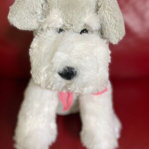 交換ウソ日記 くったり シュナウザー BIG ぬいぐるみ ピンク タグ付き