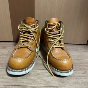 REDWING 9875 5.5E セコイア　犬タグ　復刻