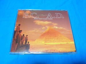 ザ・スクェア　　B.C.A.D　CD / THE SQUARE　T-SQUARE 　T-スクェア