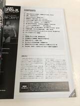 (^_^)BBM　週プロ別冊夏季号　週刊プロレスEXTRA！　表紙 小橋建太_画像3