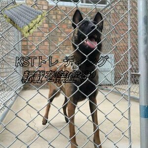 牛羊の繁殖ネット 犬 ドッグラン 動物園フエンス ワイヤー リンクフェンス 鉄線フェンス ガードレール 養魚池 隔離 花 園芸保護 1.2Mx10M