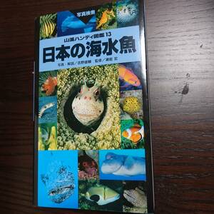 日本の海水魚 山渓ハンディ図鑑13