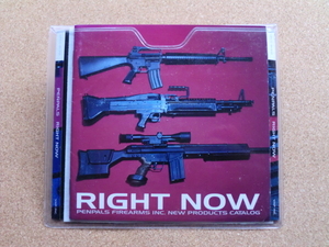 ＊【CD】PENPALS／RIGHT NOW（VPCC-81312）（日本盤）