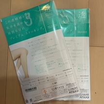 送料込み 新品 ATSUGI アツギ/透/2足/L/エアータッチ ASTIGU アスティーグ パンティストッキング　ヌーディベージュ ヌードトゥ 制菌_画像2