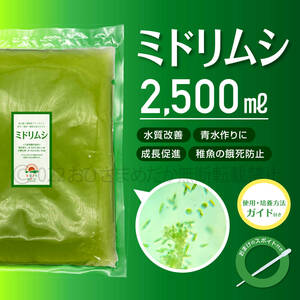 SALE★ミドリムシ　2500ml★　めだか　メダカ　針子　エサ 稚魚　　psb　 金魚　ミジンコ　クロレラ　ゾウリムシ　などに 培養解説付き