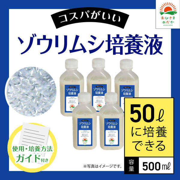 コスパ最強【ゾウリムシ培養液　500ml　50L培養分　】メダカ めだか 金魚 ミジンコ　ミドリムシ　クロレラ　 針子　PSB ゾウリムシ培養に