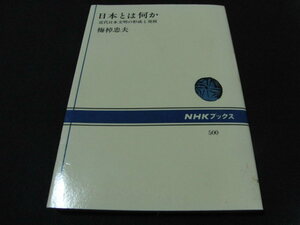 af2■日本とは何か―近代日本文明の形成と発展/梅棹 忠夫 (著)/NHKブックス/2000年21刷