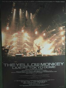 THE YELLOW MONKEY　「LIVE AT TOKYO DOME」　ポップ