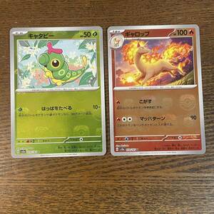 ポケモンカード　マスターボールミラー　キャタピー　ギャロップ　151