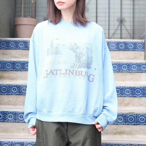 USA VINTAGE Hanes ACTIVEWEAR BEAR PRINT DESIGN SWEAT SHIRT/アメリカ古着くまプリントデザインスウェット