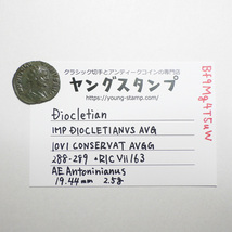 【古代ローマコイン】Diocletian（ディオクレティアヌス）クリーニング済 ブロンズコイン 銅貨 アントニニアヌス(Bf9Mg4T5uW)_画像9