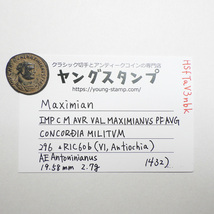 【古代ローマコイン】Maximian（マクシミアヌス）クリーニング済 ブロンズコイン 銅貨 アントニニアヌス (HSfTaV3nbk)_画像9
