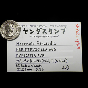 【古代ローマコイン】Herennia Etruscilla（ヘレニア エトルシラ）クリーニング済 シルバーコイン 銀貨 アントニニアヌス(3hPZZLxpW4)の画像9