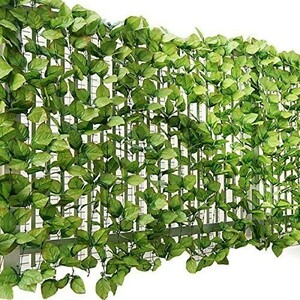 [ free shipping ]ottostyle.jp green fence green wall approximately 3m×1m [ rose leaf ] soft net type eyes ..