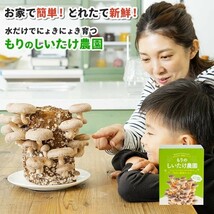 森のきのこ倶楽部 もりのしいたけ農園 栽培キット ( しいたけ栽培 / 家庭菜園 / 説明書付き )_画像2