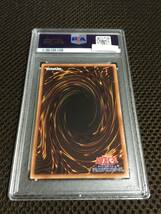 遊戯王 PSA7 現存1枚 樹冠の甲帝ベアグラム プリズマティックシークレット_画像4