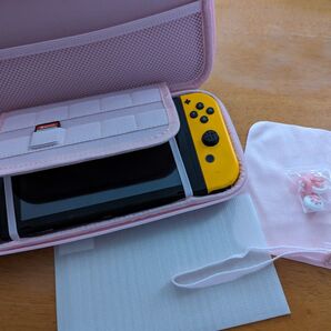 Switch BRHEケース 新品