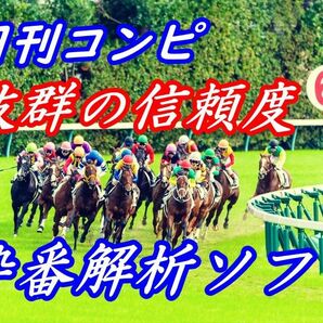 回収率１４０％overを叩き出す！超強力コンピ指数枠連解析ソフト 日刊コンピ 完全オリジナル 競馬 予想 JRA 副業 極ウマ