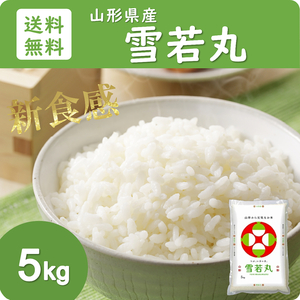 山形県産 雪若丸 5kg 送料無料 玄米 白米 精米無料 新米 令和5年産 一等米 米 お米 10kg 30kg も販売中